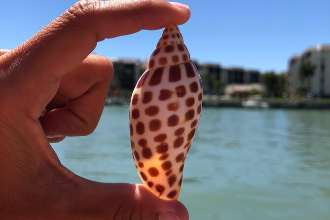 4 Hour Kice Island Shelling Trip - Confirmation and Accessibility