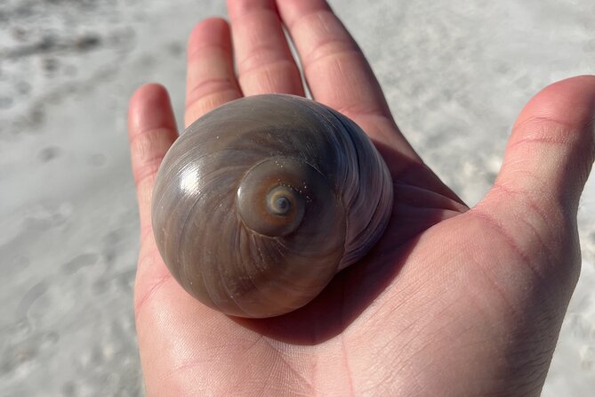 4 Hour Kice Island Shelling Trip - Customer Reviews and Ratings