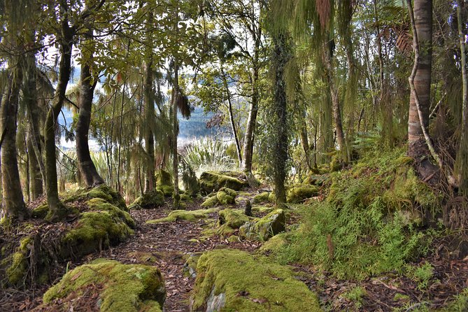 4-Hour Lake Mapourika Kayak and Hike Adventure, With Okarito Kiwi Sanctuary - Group Size and Fitness Level