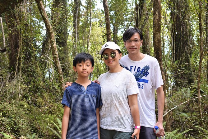 4-Hour Lake Mapourika Kayak and Hike Adventure, With Okarito Kiwi Sanctuary - Positive Customer Feedback