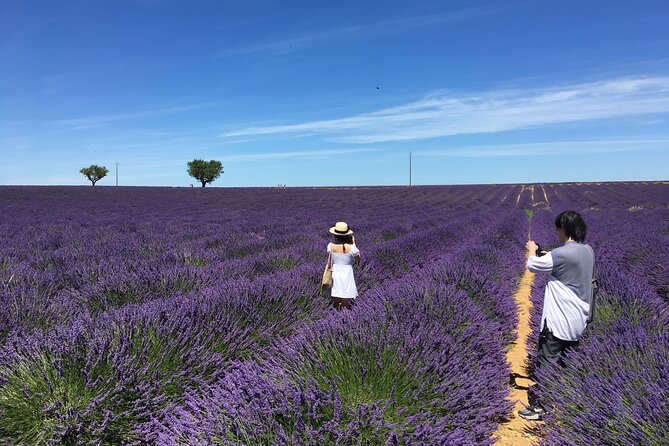 4-Hour Lavender Fields Tour in Valensole From Aix-En-Provence - Morning Tour for Optimal Photo Light