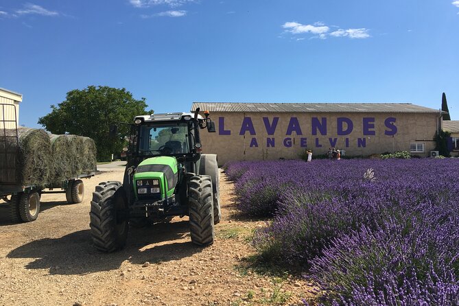 4-Hour Lavender Fields Tour in Valensole From Aix-En-Provence - Visitor Recommendations