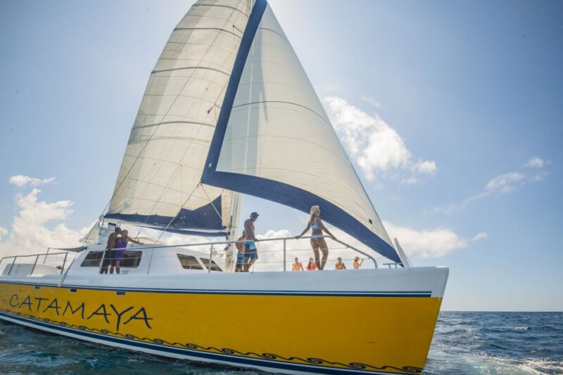 4-Hour Luxury Catamaran Cruise From Puerto Aventuras - Included Amenities