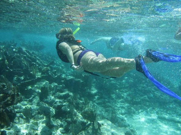 4-Hour Luxury Catamaran Cruise From Puerto Aventuras - Transportation Details