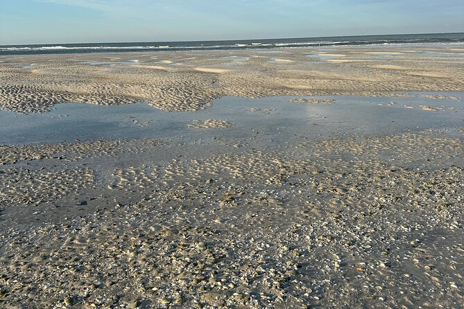 4 Hour Marco Island Private Fishing,Shelling,or EcoExperience - Private and Personalized Tour
