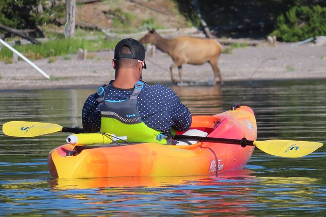 4-Hour Morning Kayak on Yellowstone Lake With Lunch - Meal Options