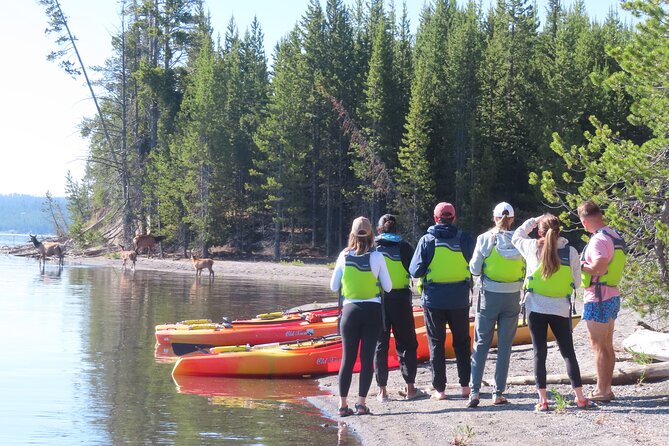 4-Hour Morning Kayak on Yellowstone Lake With Lunch - Logistics and Requirements