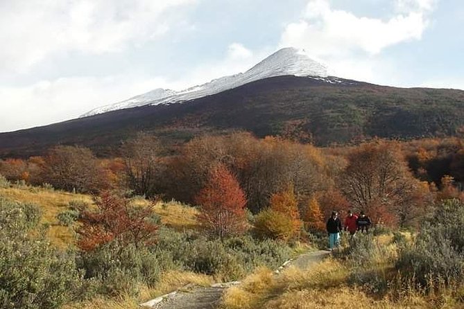 4-Hour National Park - USHUAIA (Shared Tour) - Accessibility