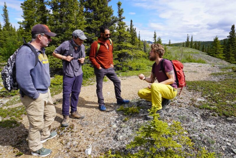 4 Hour Off-Trail Wilderness Wonders Tour in Denali - Foraging and Cultural Insights