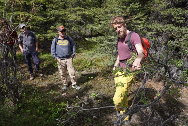 4 Hour Off-Trail Wilderness Wonders Tour in Denali - Storied Histories of Adventurers