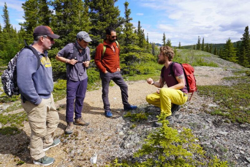 4 Hour Off-Trail Wilderness Wonders Tour in Denali - Tour Details