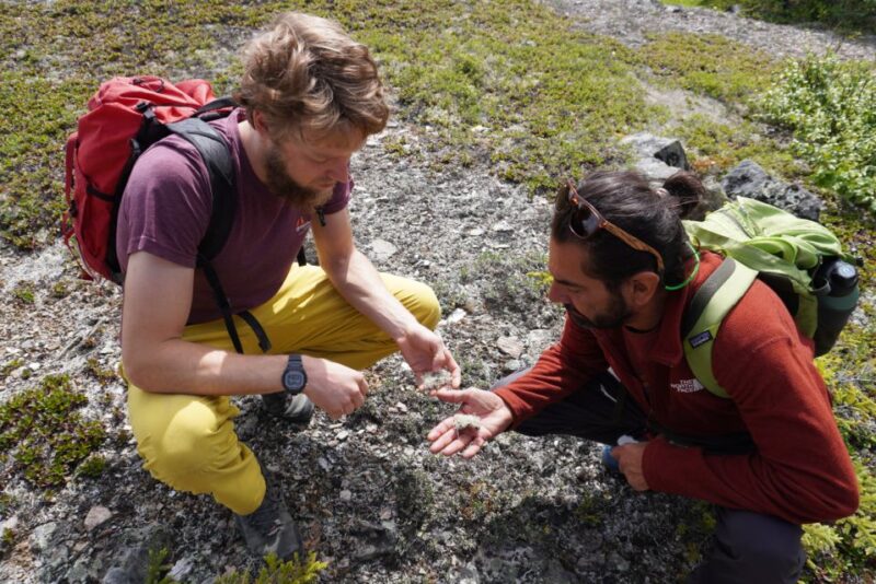 4 Hour Off-Trail Wilderness Wonders Tour in Denali - Frequently Asked Questions