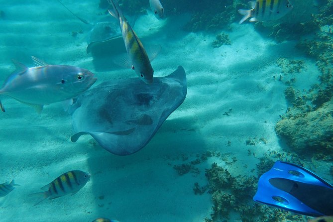 4-Hour Private 40 Luxury Catamaran Tour With Food, Open Bar & Snorkeling - Luxury Catamaran Specifications