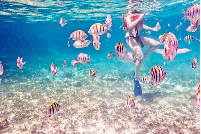 4-Hour Private 44 Leopard Luxury Catamaran Tour W/ Food, Open Bar & Snorkeling - Included Amenities