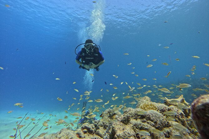 4 Hour Private Activity, Two Tank Diving in San Andres - Reviews Summary