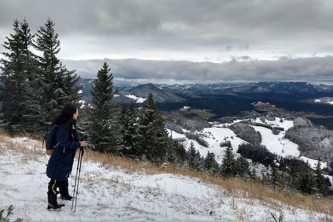 4-Hour Private Alpine Great George at High Wall Mountain From Vienna - Key Points