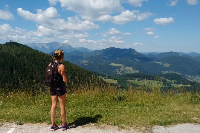 4-Hour Private Alpine Great George at High Wall Mountain From Vienna - Transportation Options