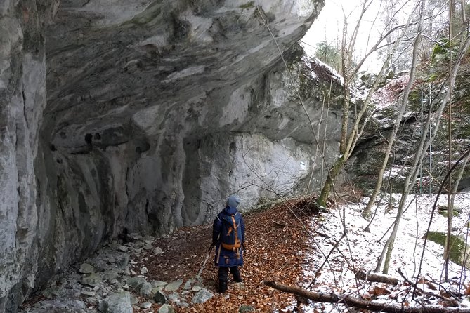 4-Hour Private Alpine Great George at High Wall Mountain From Vienna - Scenic Highlights