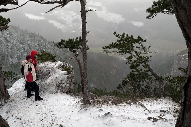 4-Hour Private Alpine Great George at High Wall Mountain From Vienna - Tour Duration and Schedule