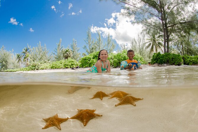 4 Hour Private Boat Charter to Stingray City, Snorkeling and More - Meeting and Pickup