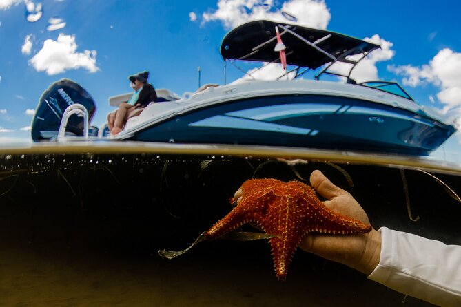 4 Hour Private Boat Charter to Stingray City, Snorkeling and More - Highlights of the Experience