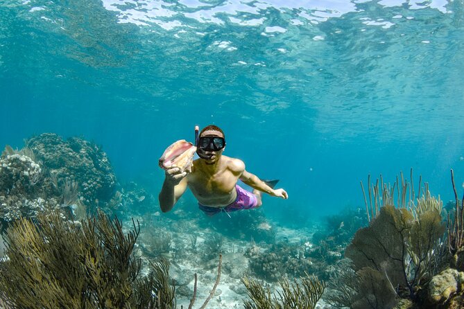 4 Hour Private Boat Charter to Stingray City, Snorkeling and More - Pricing and Booking