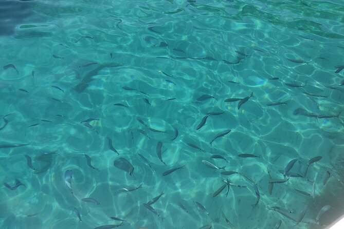 4-Hour Private Boat Tour in Corfu - Customer Reviews