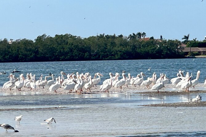 4 Hour Private Boat Tour in Sarasota Bay - Duration and End Location