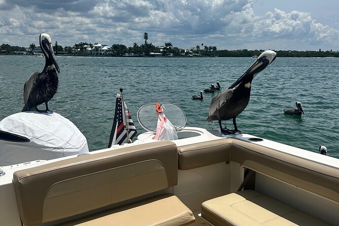 4 Hour Private Boat Tour in Sarasota Bay - Private Tour Experience