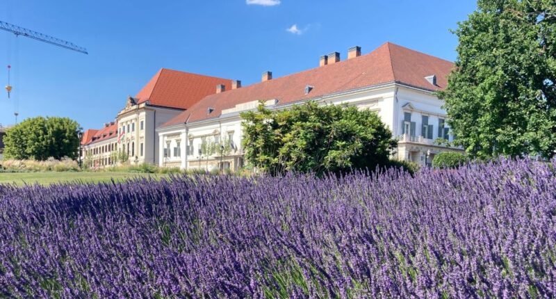 4-Hour Private Budapest City Tour by Public Transportation - Inclusions