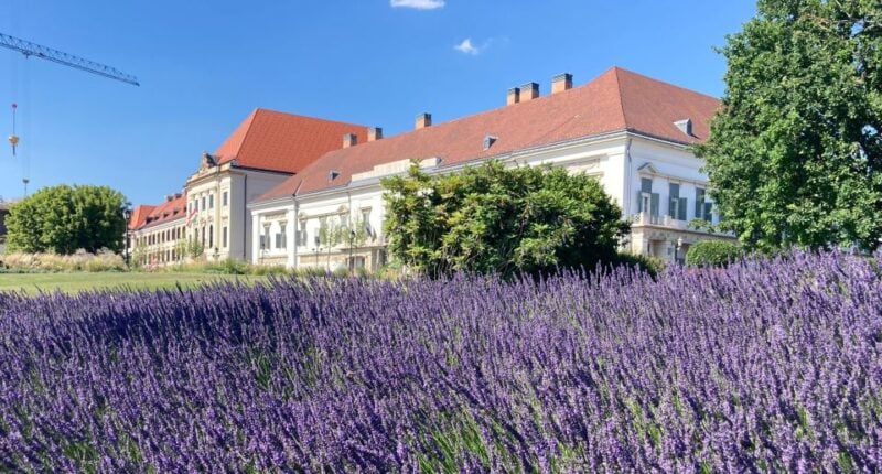 4-Hour Private Budapest City Tour by Public Transportation - Tour Duration and Schedule