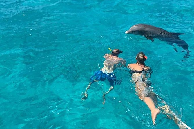 4 Hour Private Catamaran Sail and Snorkel From Grace Bay Beach, Providenciales - Snorkeling and Exploration