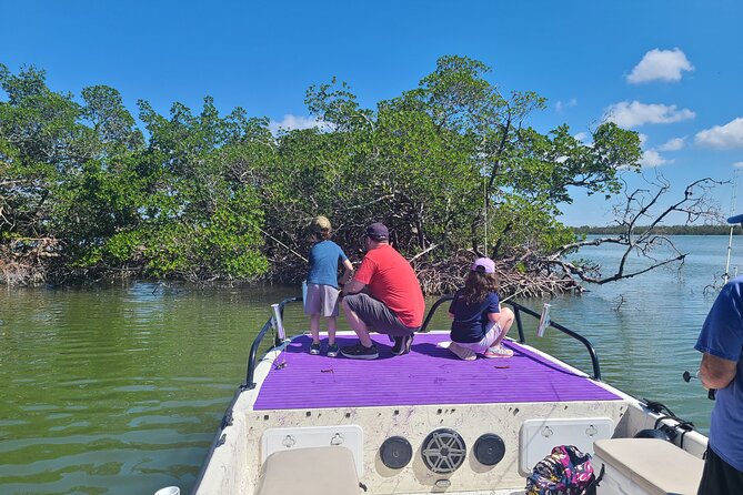 4 Hour Private Charter in Naples - Confirmation and Review Process