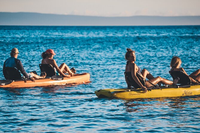 4 Hour Private Custom Kayak Tour Lahaina - Safety and Restrictions