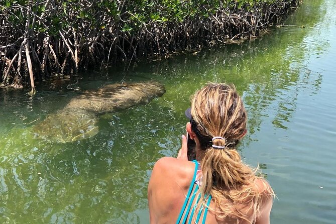 4 Hour Private Ecotour and Snorkeling Boat Tour - Meeting Point and Location