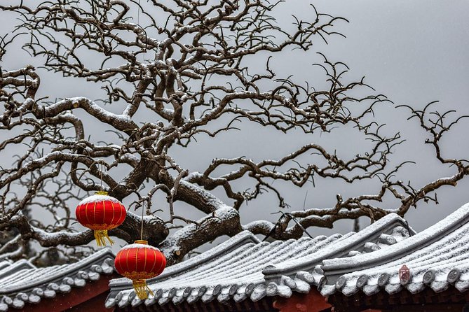 4-Hour Private Forbidden City Walking Tour With Birds Viewoption - Booking and Pricing Information