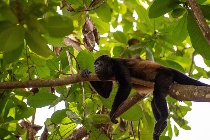 4-Hour Private Guided ATV Tour in Costa Rica - Exploring Beaches and Local Wildlife