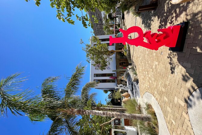 4 Hour Private Island Tour in Mykonos - Mykonos in a Day - Customizing the Tour to Personal Preferences