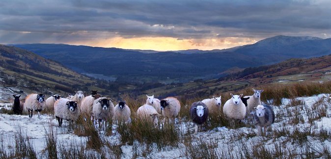 4 Hour Private Lake District Tour (Tour B) - Bowness-on-Windermere