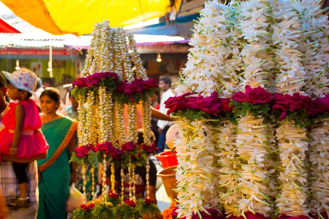 4-Hour Private Photowalk Tour in Bengaluru - Physical Requirements and Accessibility