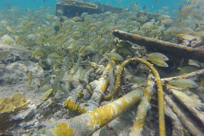 4 Hour Private Sandy Cay Experience With Snorkeling - Adults Only - Inclusions and Meeting Information