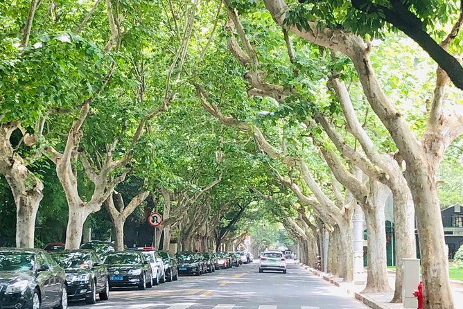 4-Hour Private Shanghai Walking Tour of Former French Concession - Suitability and Accessibility