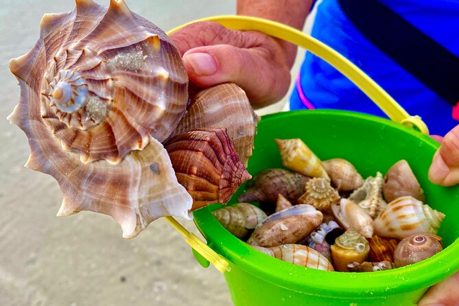 4 Hour Private Shelling Tour - Tour Specifications