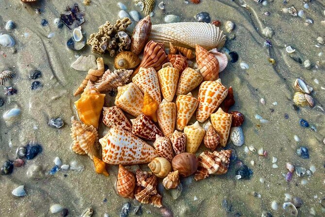 4 Hour Private Shelling Tour - Preparing for the Tour