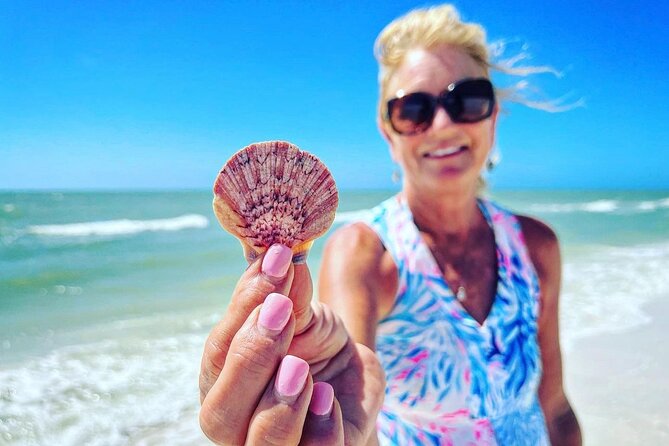 4 Hour Private Shelling Tour - About the Experience