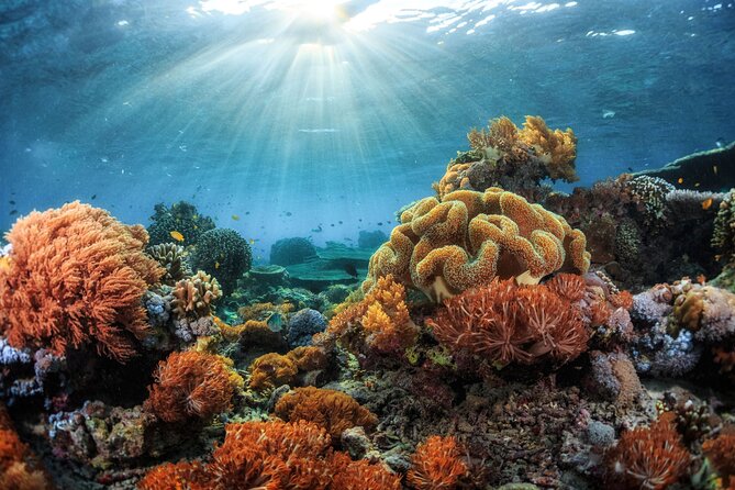 4 Hour Private Snorkeling Tour in Kona - Meeting and Pickup Information