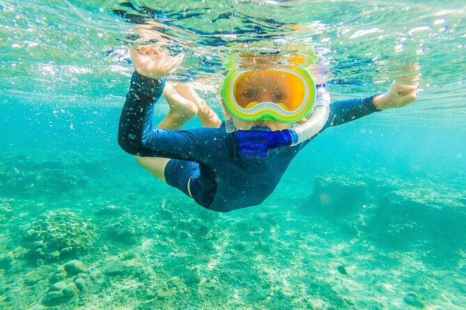 4 Hour Private Snorkeling Tour in Kona - Health and Accessibility Considerations