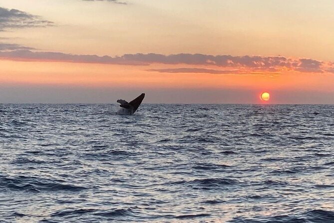 4 Hour Private Sunset Fishing Charter - Frequently Asked Questions