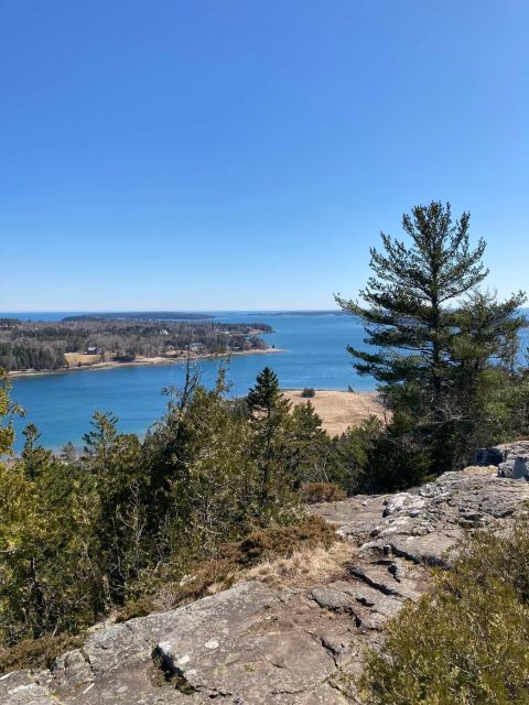 4 Hour Private Tour: Acadia, Fjord, Gardens & Mansions - Tour Highlights