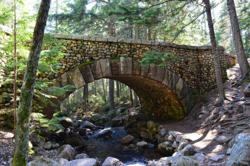 4 Hour Private Tour: Acadia, Fjord, Gardens & Mansions - Inclusions